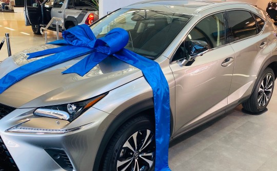 2022 Lexus Nx300 craft edition