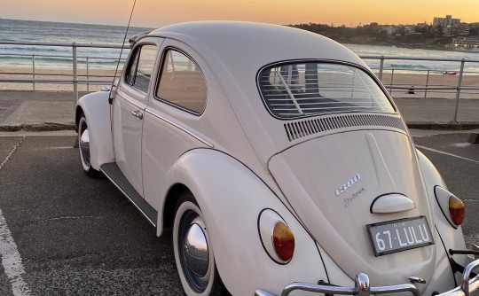 1967 Volkswagen 1300 (BEETLE)