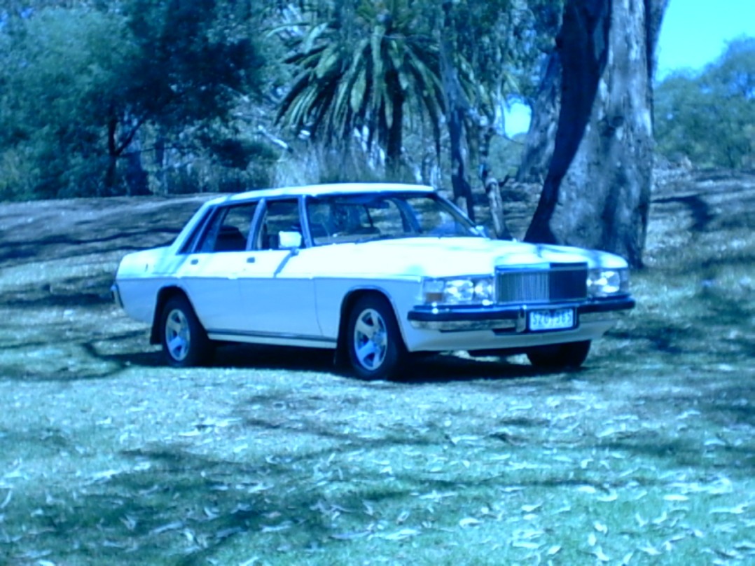 1984 Holden wb