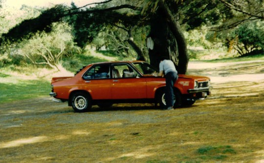 1975 Holden TORANA SL/R 5000