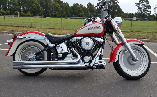 1993 Harley-Davidson 1340cc FXE/F80 (FATBOY)