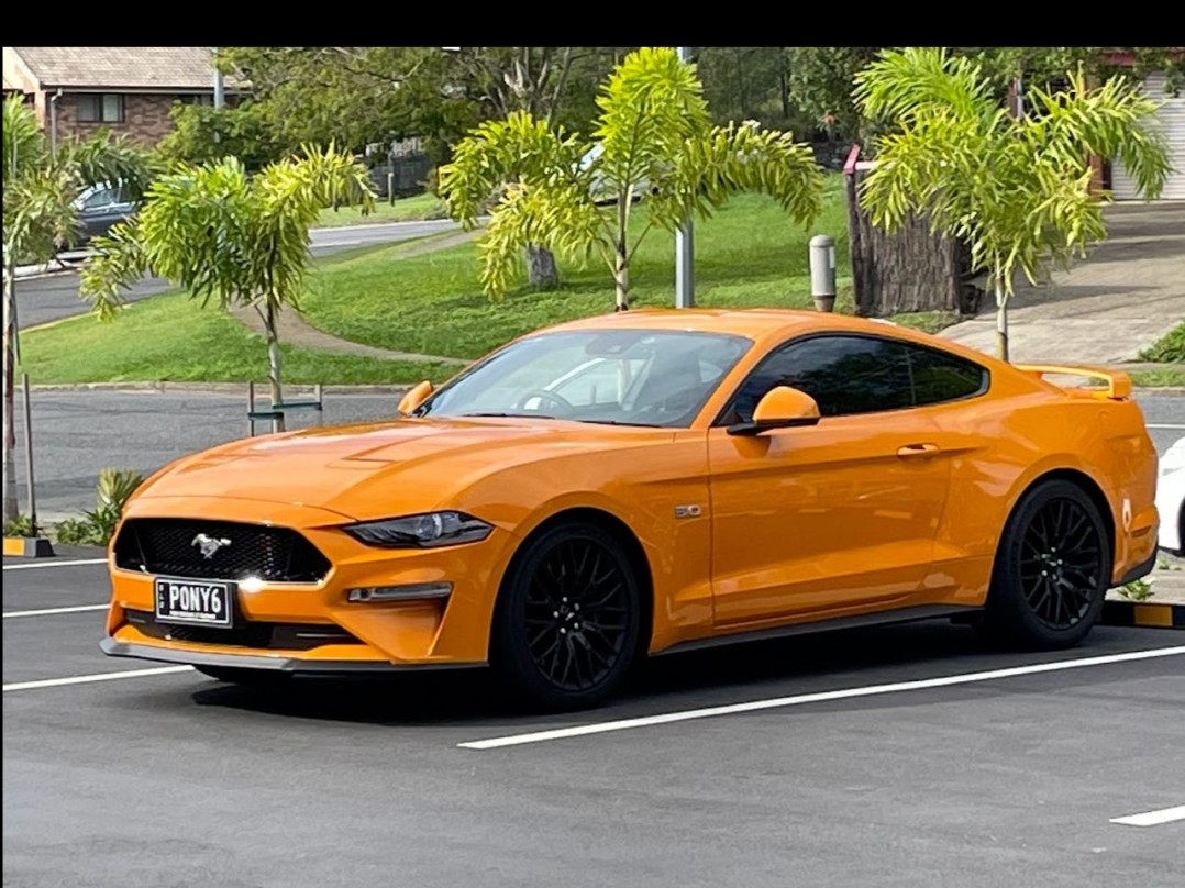 2019 Ford Performance Vehicles Mustang