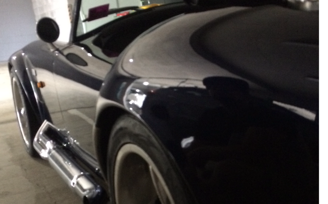 1995 AC Cobra Snake pit