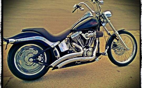 2007 Harley-Davidson softail custom