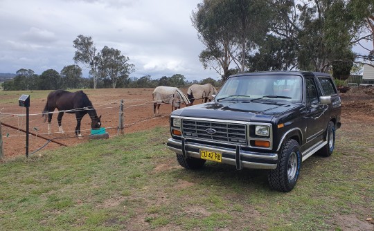 1984 Ford BRONCO (4X4)