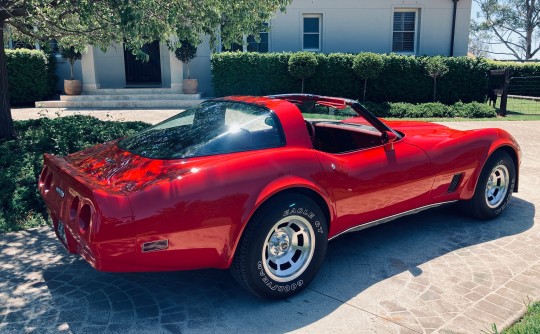 1980 Chevrolet CORVETTE STINGRAY