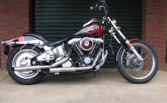 1989 Harley-Davidson Custom Softail