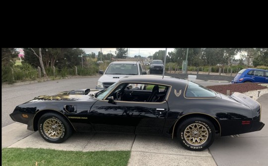 1981 Pontiac FIREBIRD TRANS AM