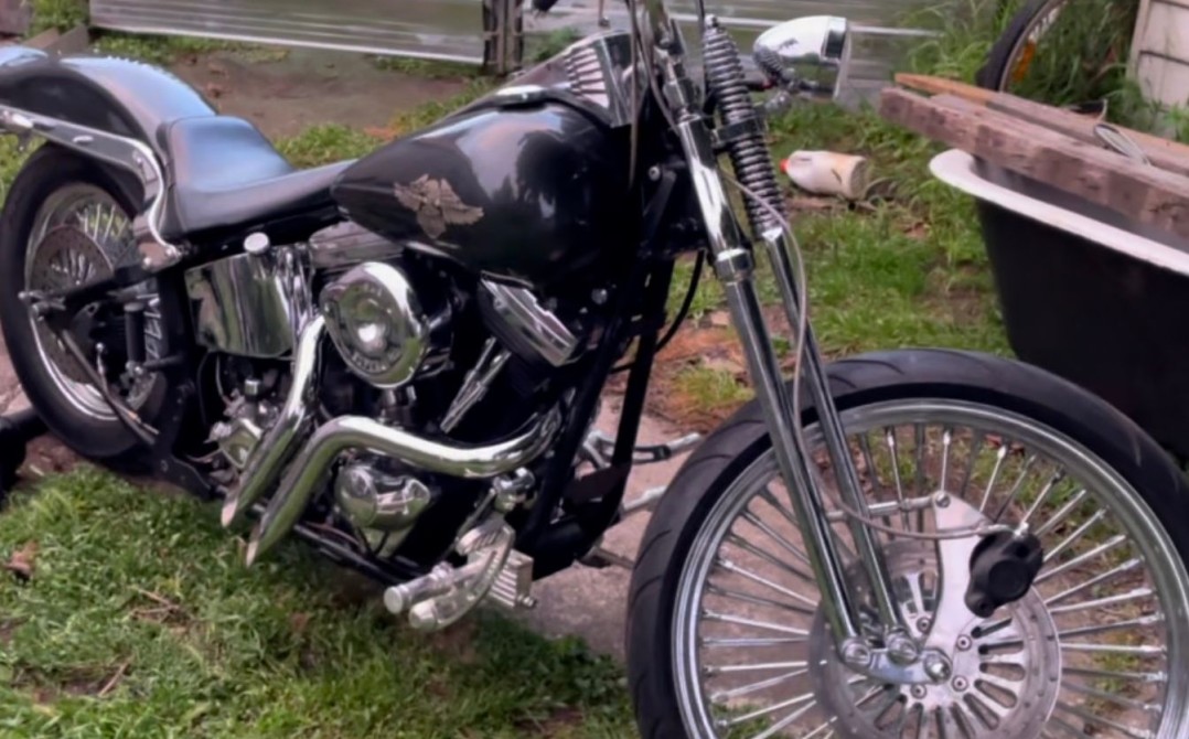 1985 Harley-Davidson FXSTC SOFTAIL CUSTOM