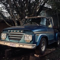 Warren9981