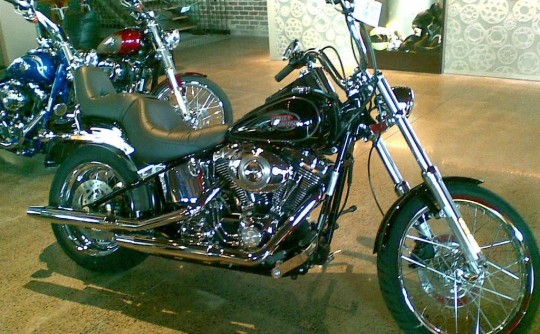 2009 Harley-Davidson FXST-C