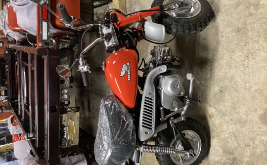 1978 Honda 49cc Z50 MONKEY