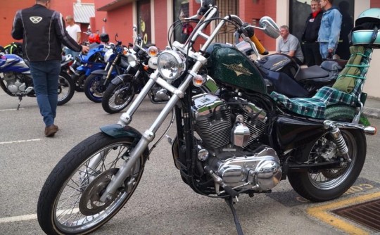 2015 Harley-Davidson XL1200v