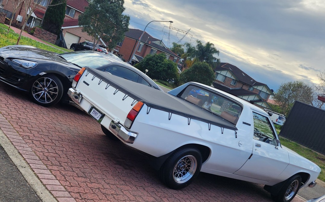 1980 Holden WB