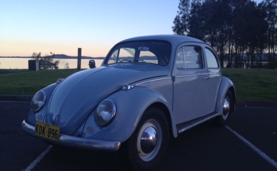 1967 Volkswagen beetle
