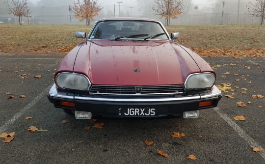 1989 Jaguar Xj-s