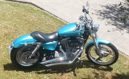 2008 Harley-Davidson 883cc XL883C SPORTSTER CUSTOM