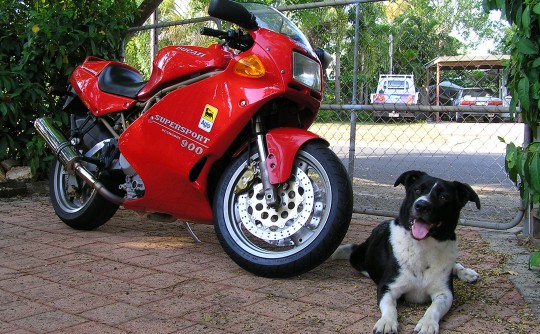 1995 Ducati 900SS