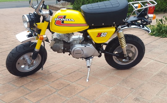 1976 Honda 49cc Z50 MONKEY