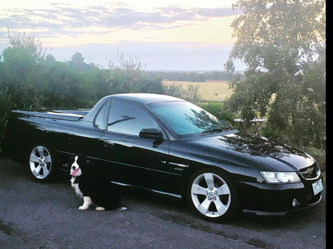 2005 Holden COMMODORE SSZ