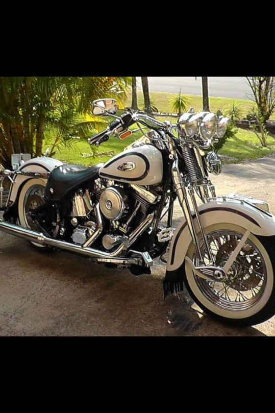 1997 Harley-Davidson Flsts