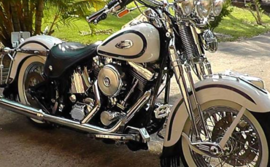 1997 Harley-Davidson Flsts