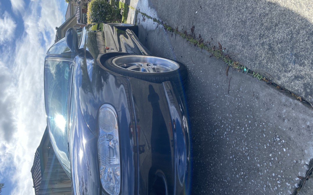 1999 Holden COMMODORE