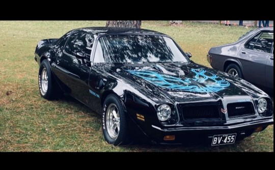 1974 Pontiac FIREBIRD TRANS AM