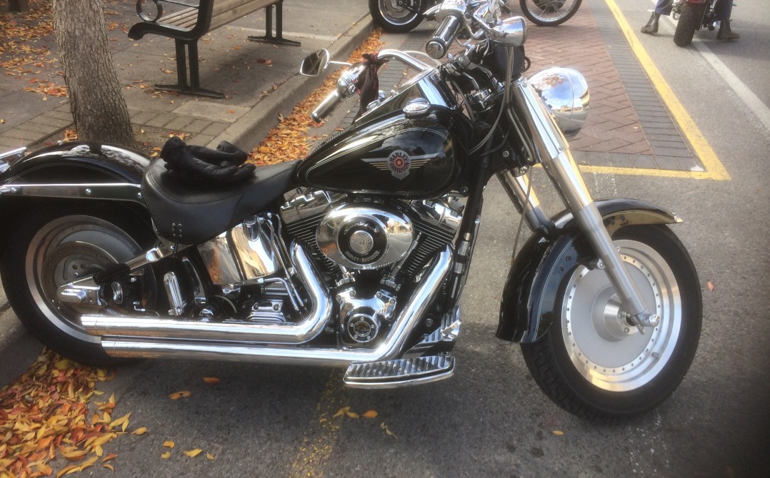2004 Harley-Davidson FLSTF FAT BOY