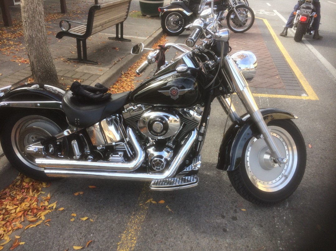 2004 Harley-Davidson FLSTF FAT BOY