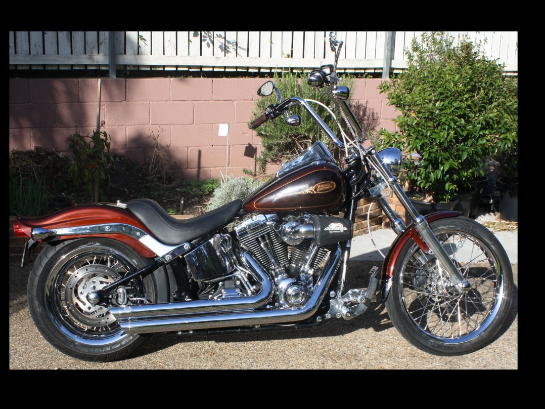 2009 Harley-Davidson 1584cc FXSTC SOFTAIL CUSTOM