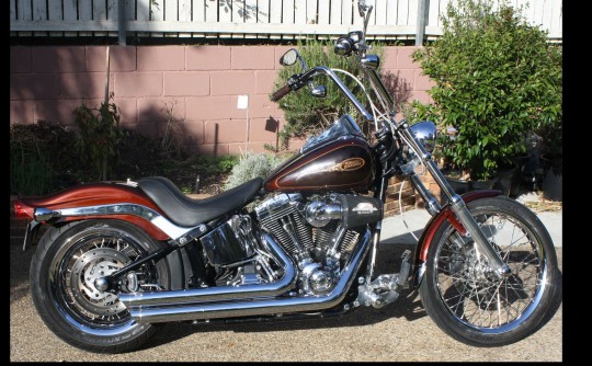 2009 Harley-Davidson 1584cc FXSTC SOFTAIL CUSTOM