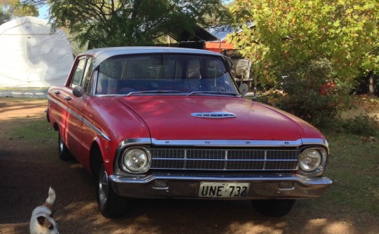 1964 Ford XM FALCON  Deluxe Super Pursuit  170