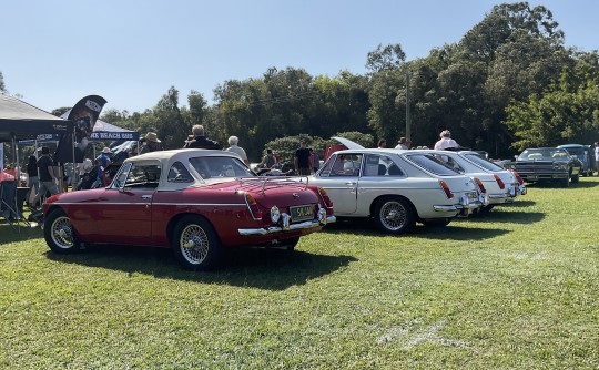 Noosa Beach Classic Car Club Show, 01 September 2024