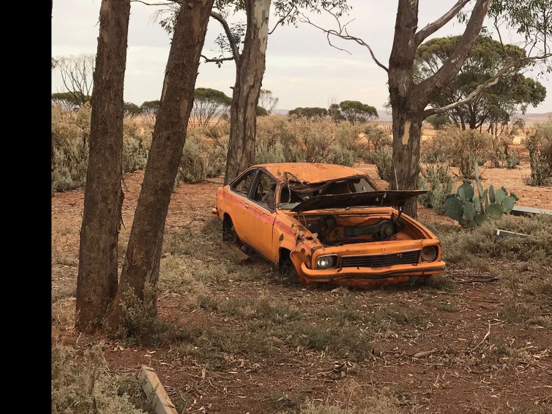 1976 Holden SS Hatch