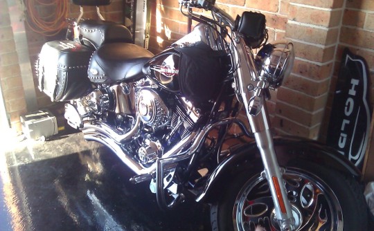 2006 Harley-Davidson softail