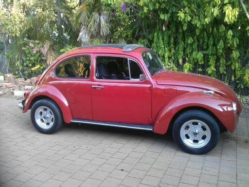 1972 Volkswagen Super bug