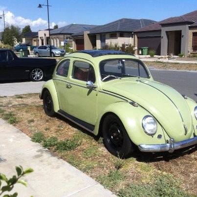 1964 VOLKSWAGEN BEETLE