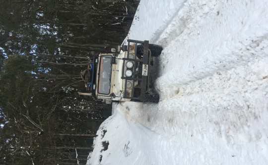 1984 Toyota Fj40