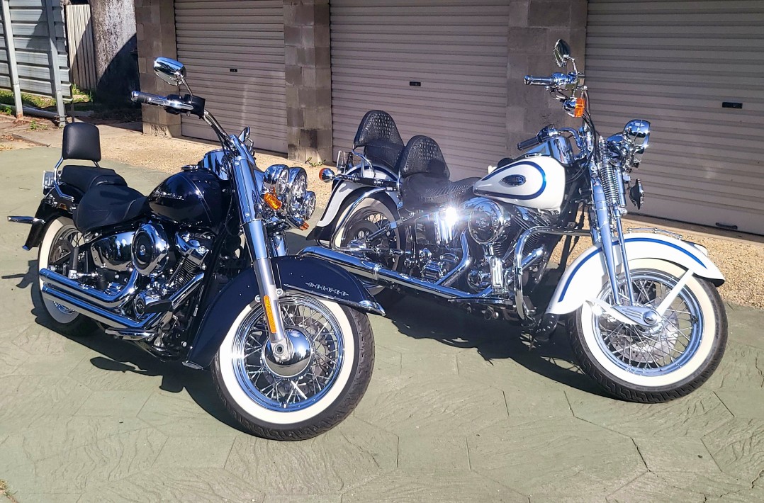 2020 Harley-Davidson 1746 FLSTN SOFTAIL DELUXE