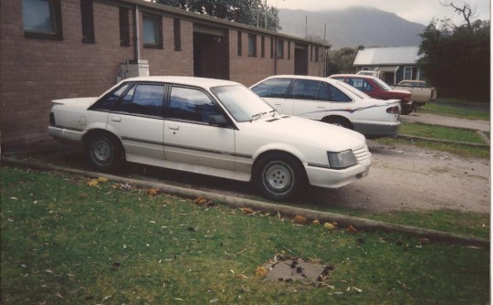 1984 Holden Dealer Team vk