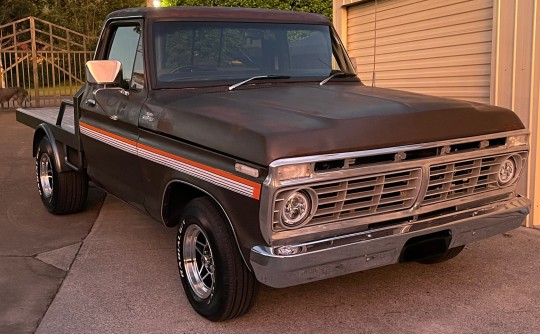 1979 Ford F100