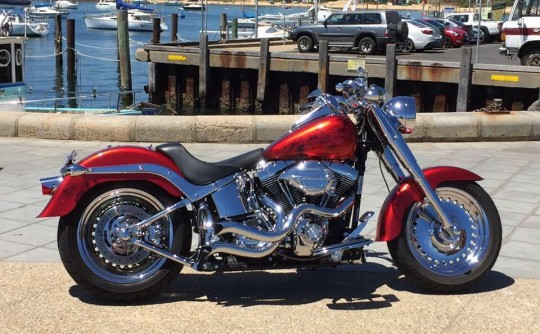 2007 Harley-Davidson Fat boy Custom