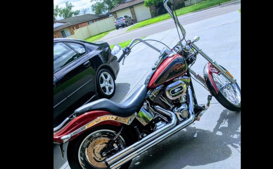 2006 Harley-Davidson 1584cc softail custom