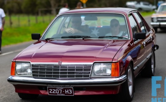 1979 Holden COMMODORE