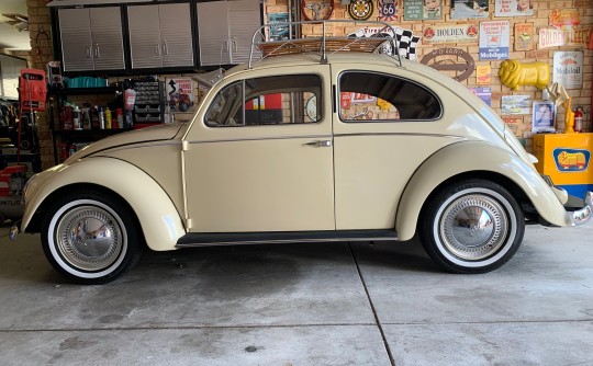 1955 Volkswagen Oval beetle