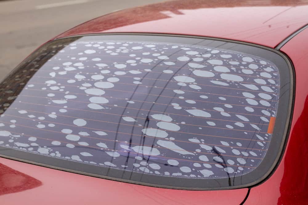 Window Tinting