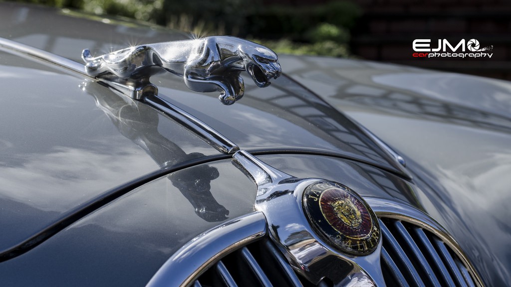 Essential Character: The Bonnet Mascot