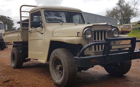 1966 Willys pick up