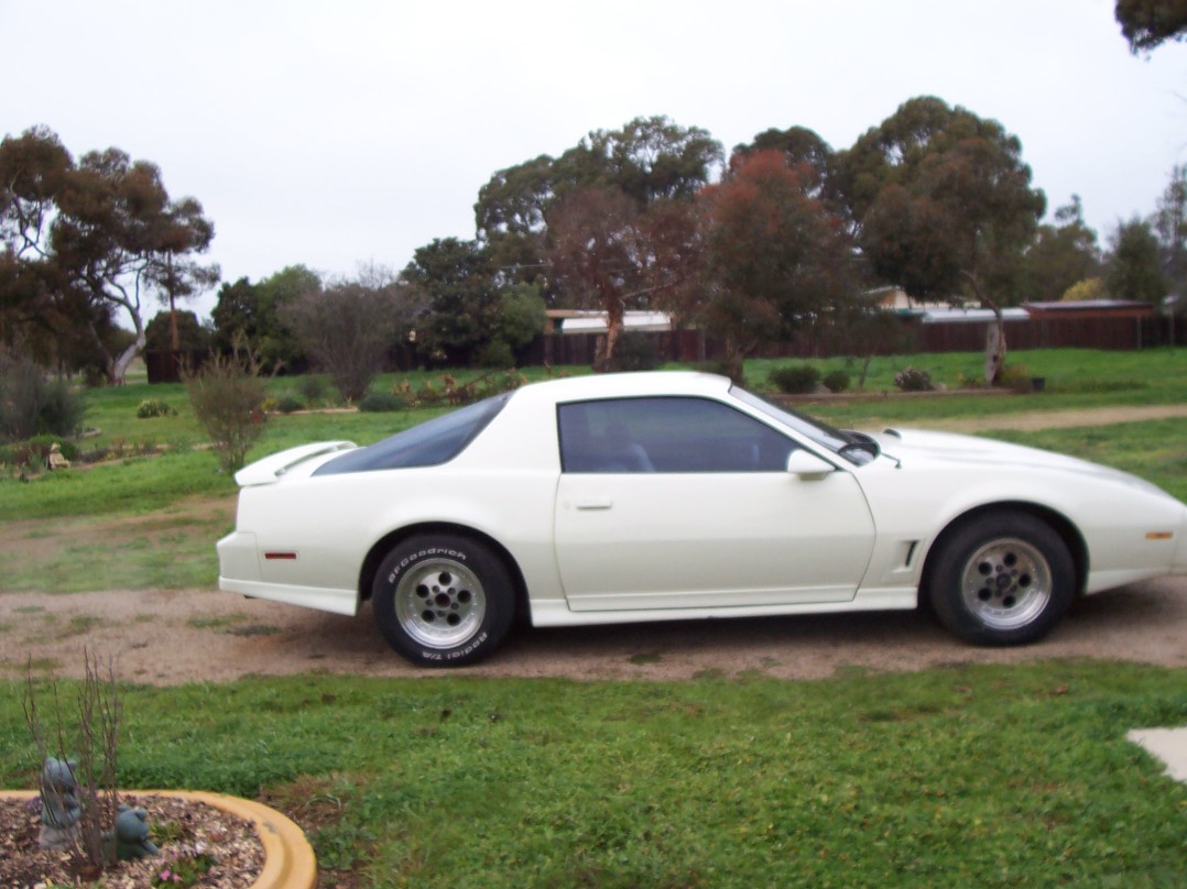 1983 Pontiac Transam